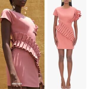 Andrea Iyamah Safia Pleated Ruffle Pink Mini Dress Size Small